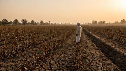 Climate Change Crisis