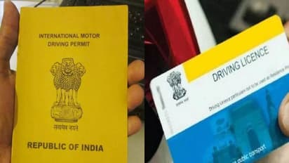 International Driving License