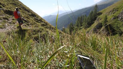 lost phone found tips,