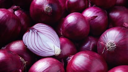 महाराष्ट्र में भारी बारिश के कारण प्याज की फसल बर्बाद