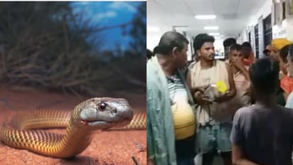 सांप लेकर अस्पताल पहुंचे परिजन
