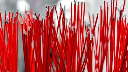 crime news, অপরাধ