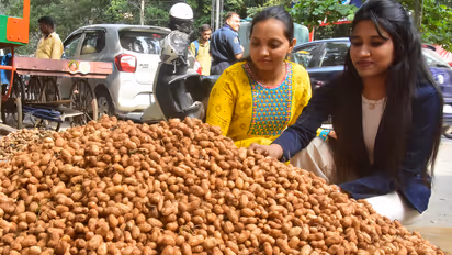 Basavanagudi gears up for the vibrant Kadalekai Parishe festival