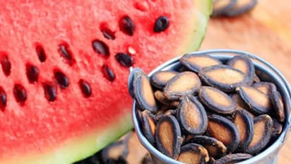 Watermelon Seeds