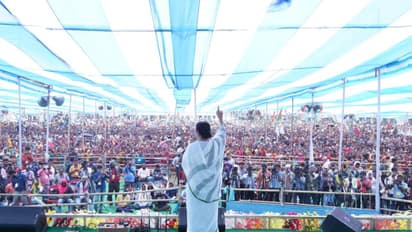 CM Mamata Banerjee went to Jalpaiguri for election campaign and made tea standing in a shop