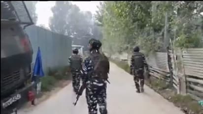 pulwama kashmir