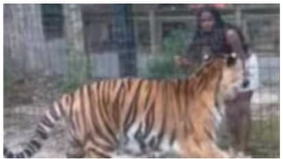 US Woman Climbs Into Tiger's Enclosure In Zoo