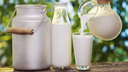 milk