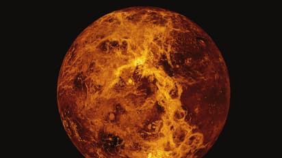 Venus