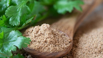 coriander seeds and leaves