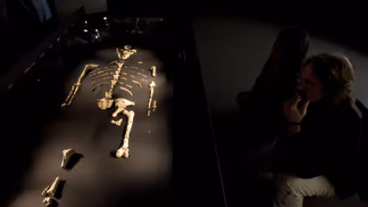 Visitors view the 3.2 million year old fossilized remains of "Lucy" in Texas