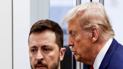 US President Donald Trump and  Ukraine President Volodymyr Zelenskyy (File Image/Reuters)