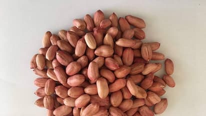 PEANUT
