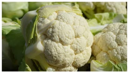 cauliflower