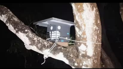 Farma Guard Device Installed to Deter Elephants in Karnataka