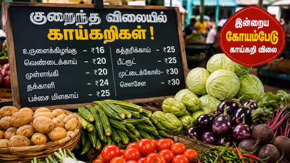 Vegetable Prices
