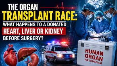 What Happens After Organ Donation? Critical Journey of Heart, Liver, Kidney Explained