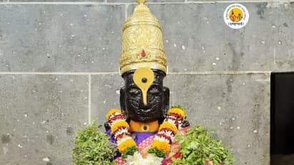 vitthal darshan