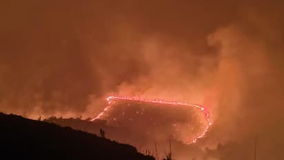 Cattle shed fire in Koppal kills six animals, probe underway