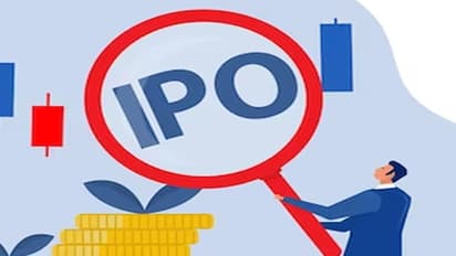Signature Global IPO
