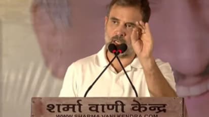 Rahul Gandhi rally