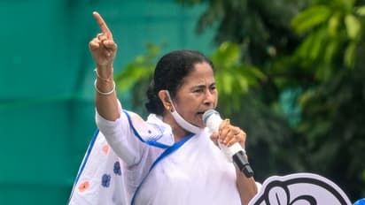 Mamata Banerjee