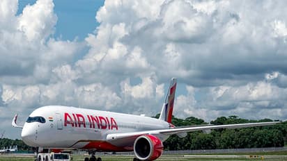 Air India (File Photo)