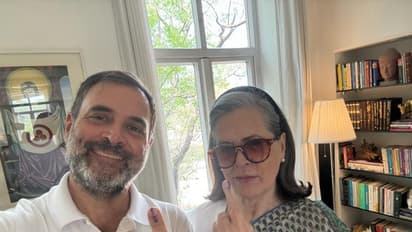 Election results update Rahul Gandhi is going to win Rae Bareli and Wayanad by a huge margin bsm