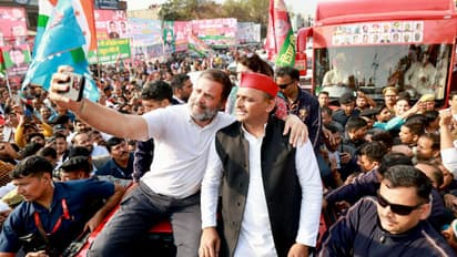 Rahul Gandhi and Akhilesh Yadav in Bharat Jodo Nyay Yatra