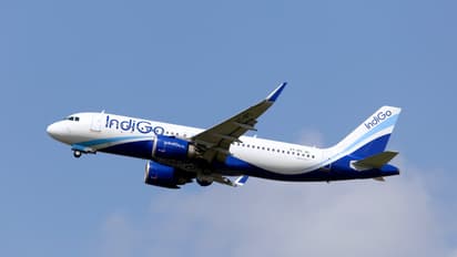 IndiGo Flights