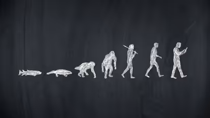 Human