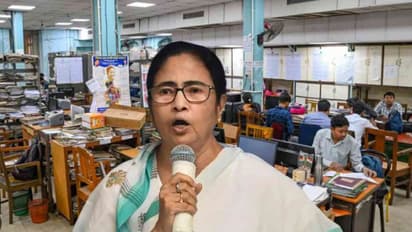 mamata