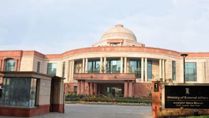 foreign minister .jpg