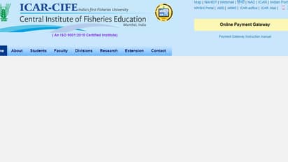 cife Mumbai recruitment