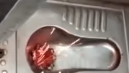 viral video
