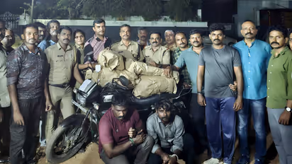 excise seizes 20kg ganja chengannur election drive arrests