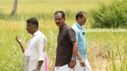 government fails promise on paddy procurement payment palakkad