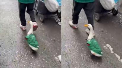 Mexico’s ‘Lucky Duck’ at FIFA World Cup