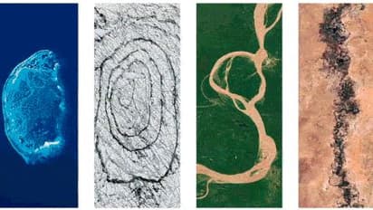 earth day google doddle