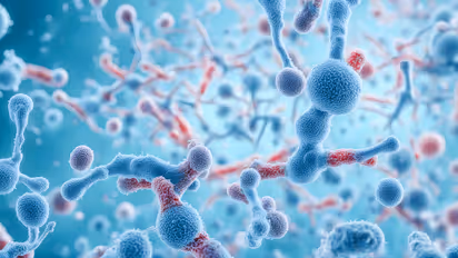 Bacterial Molecule Found to Boost Chemotherapy’s Power