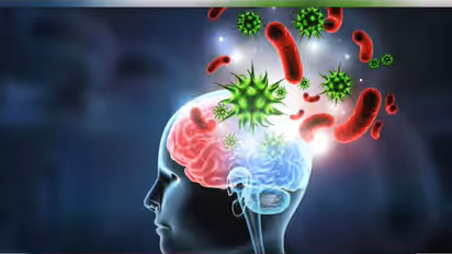 amoebic meningoencephalitis