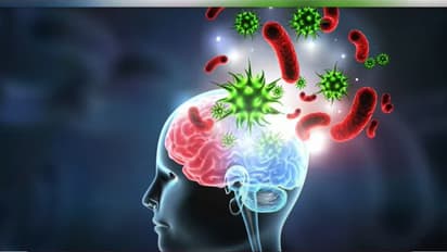 amoebic meningoencephalitis
