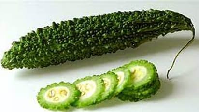 Bitter gourd