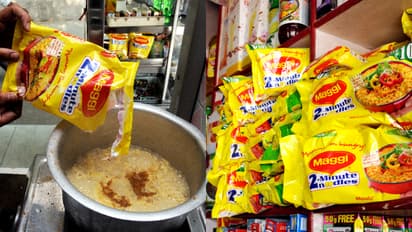 maggi