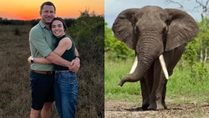 Francois Christiaan Conradie