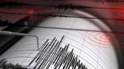 Earthquake tremors in New Zealand
