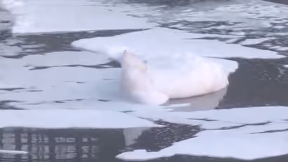Yamuna river toxic foam Delhi