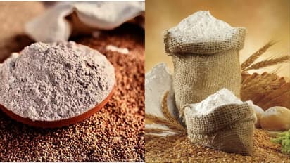 ragi vs wheat flour weight loss tips