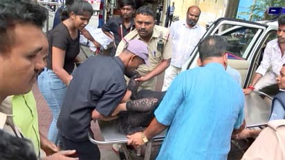 RCB victory parade stampede