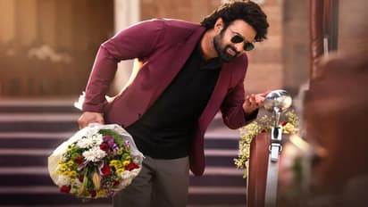 prabhas film the raja saab star cast educational qualification
